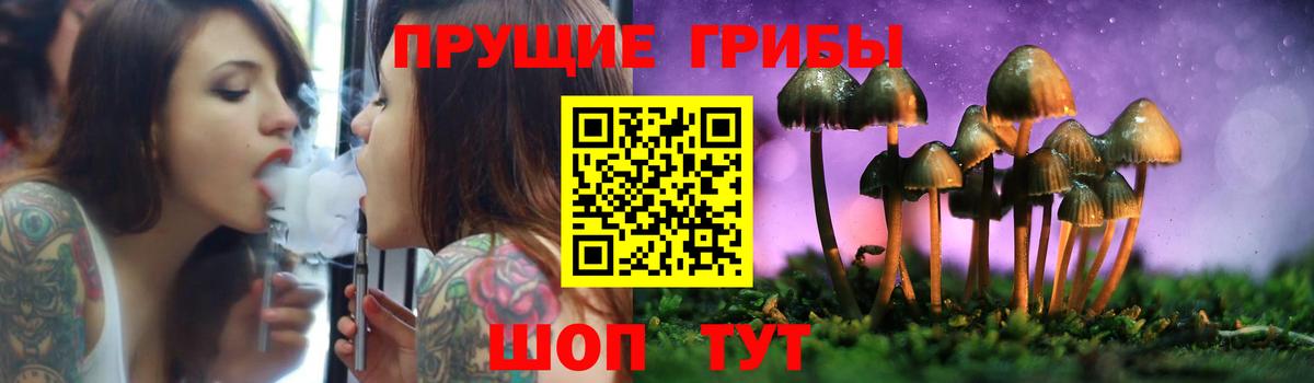 Самара  Галлюциногенные грибы Psilocybe  Псилоцибиновые грибы Psilocybine cubensis  Вход с VPN 
