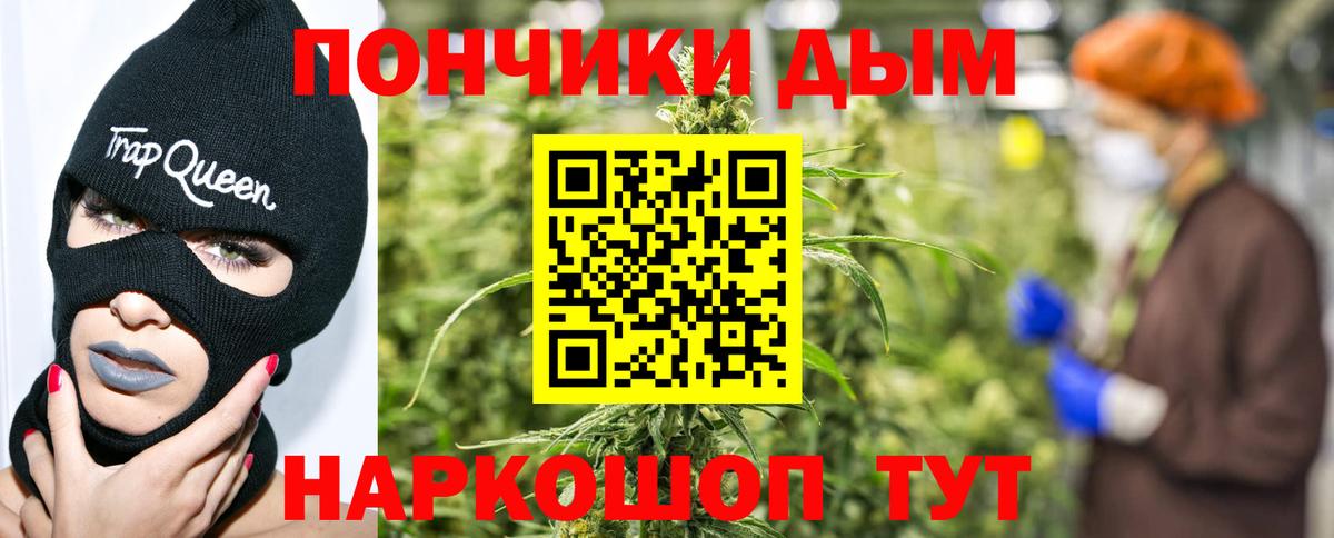 Канабис сатива Самара